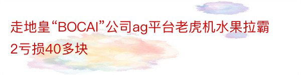 走地皇“BOCAI”公司ag平台老虎机水果拉霸2亏损40多块